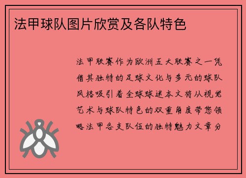 法甲球队图片欣赏及各队特色